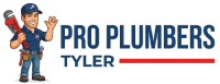 Pro Plumbers Tyler Van Contest